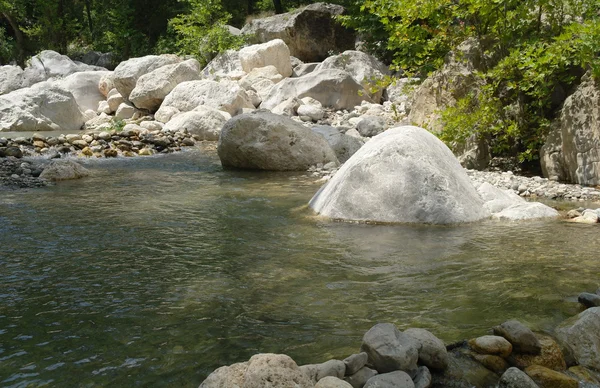 El río de la montaña. — Foto de Stock