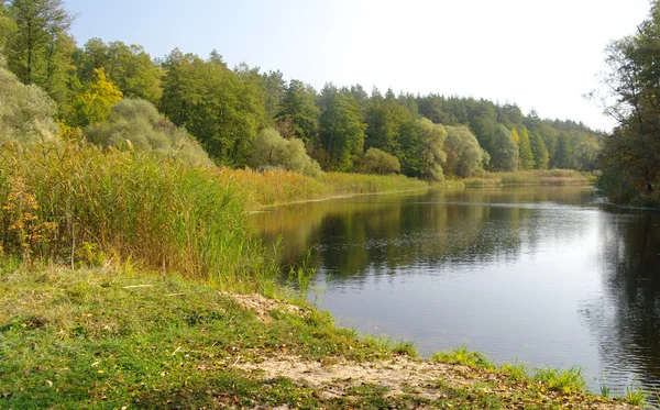 Rivierlandschap — Stockfoto