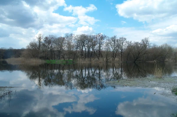 Rivierlandschap — Stockfoto