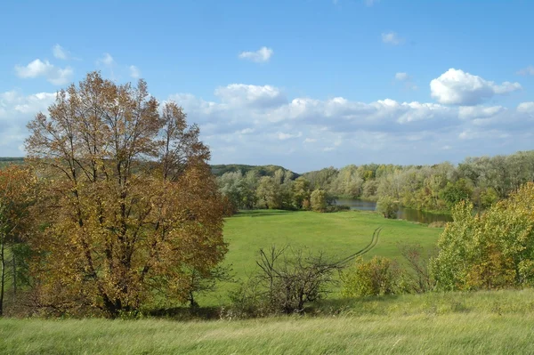 Forêt d'automne — Photo