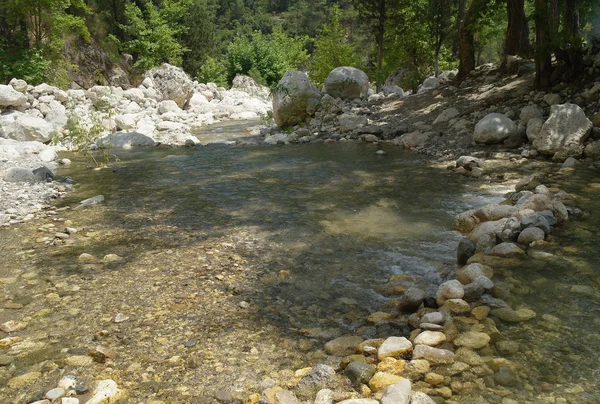 El río de la montaña. — Foto de Stock