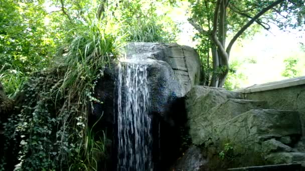 Air terjun di Taman, — Stok Video