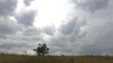 fırtına bulutları