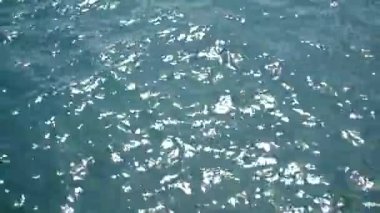 su üzerinde pırıl pırıl güneş ışığı yansımaları