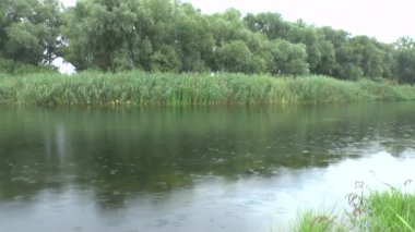 yağmur damla su yüzeyi Nehri üzerinde