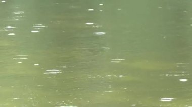 yağmur damla su yüzeyi Nehri üzerinde
