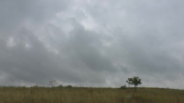 Nuvens de tempestade — Vídeo de Stock