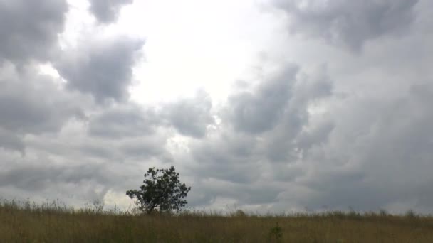 Nubes de tormenta — Vídeo de stock