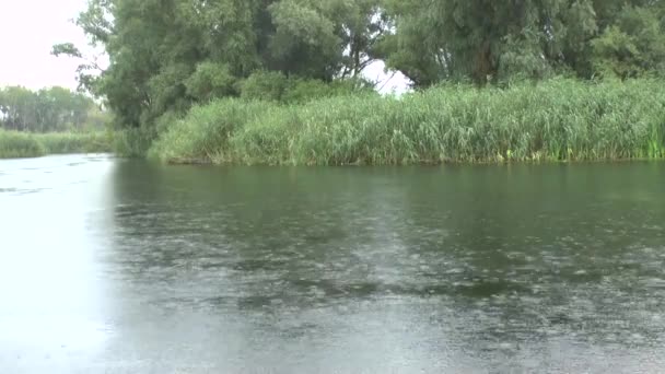 Lluvia gota superficie de agua en el río — Vídeos de Stock