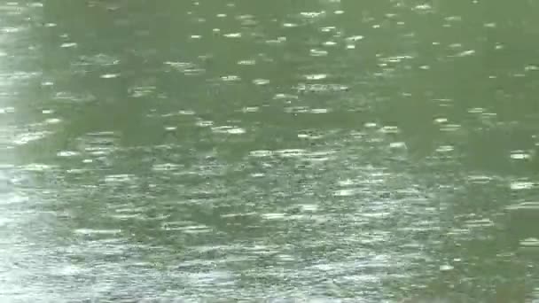 Powierzchnia wody kropla deszczu nad rzeką — Wideo stockowe
