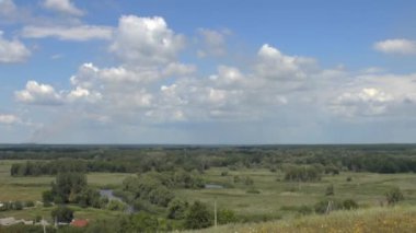 Yeşil ormanlı yaz manzarası