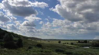 Yeşil ormanlı yaz manzarası