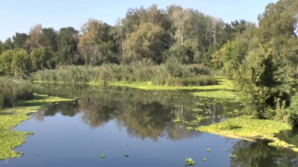 La rivière actuelle 