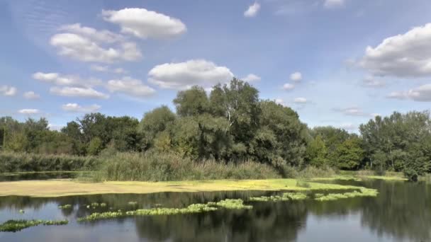 Bieżący rzeki i ruchu chmur — Wideo stockowe