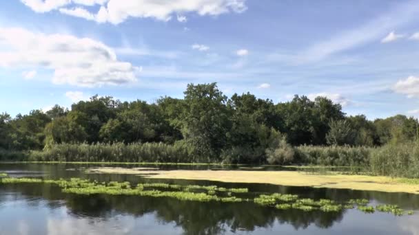 The current river and moving clouds — Stock Video