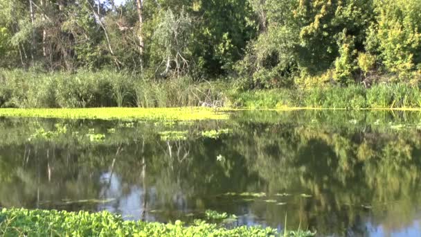 La rivière actuelle 