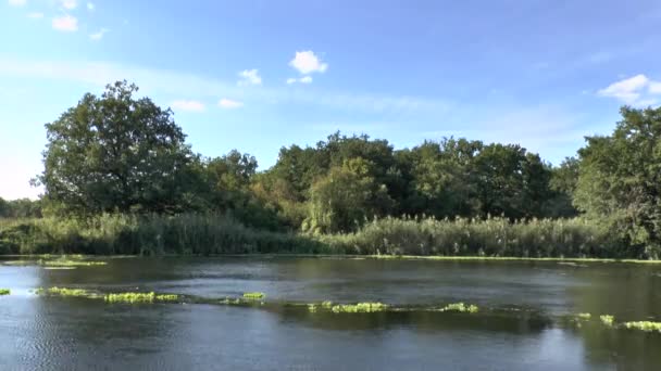 Der aktuelle Fluss und bewegliche Wolken — Stockvideo