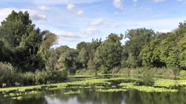 La rivière actuelle 