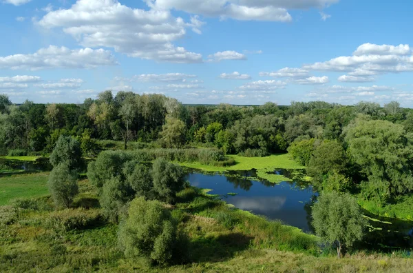 Nádhernou krajinu s zelenými stromy a řeka — Stock fotografie