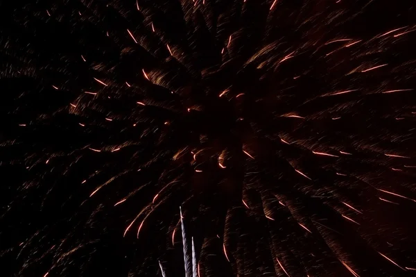 Fuegos artificiales de colores sobre el cielo oscuro —  Fotos de Stock