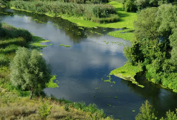 Widok na rzekę , — Zdjęcie stockowe