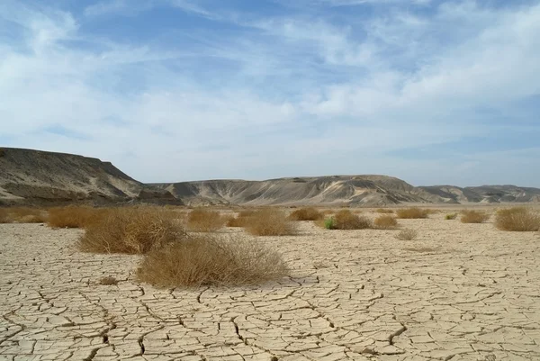 steen en Egyptische zandwoestijn.