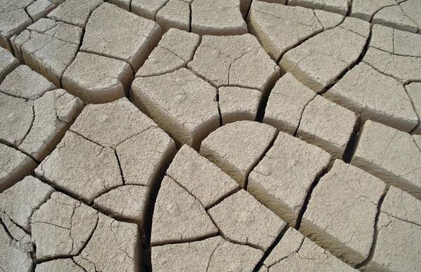 Dry soil background — Stock Photo, Image