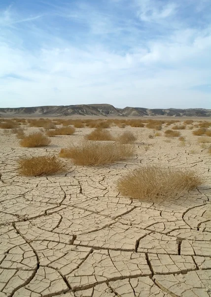 Pedra e deserto egípcio arenoso . — Fotografia de Stock