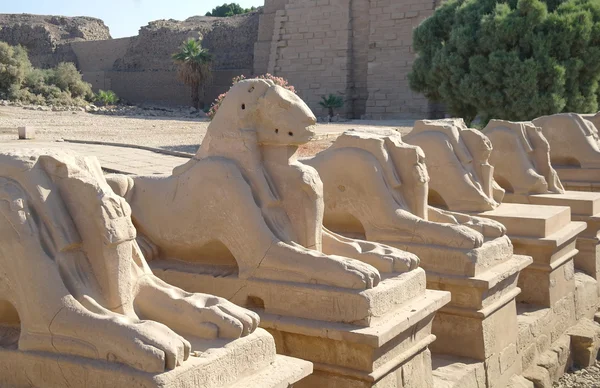 Antiche statue di sfingi a testa di Ariete nel tempio di Karnak, Luxor — Foto Stock