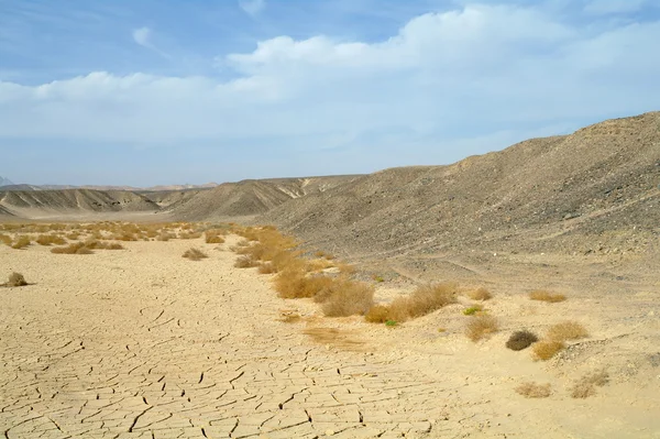 Kő és homokos egyiptomi sivatagban. — Stock Fotó