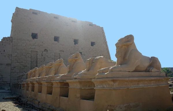 Antiguas estatuas de esfinges de cabeza de carnero en el templo de Karnak, Luxor — Foto de Stock