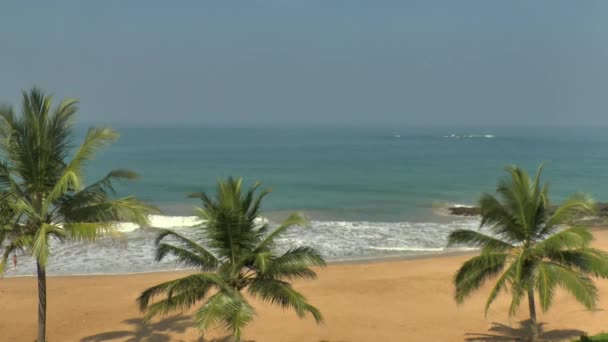 Tropical coastline with yellow sand — Stock Video