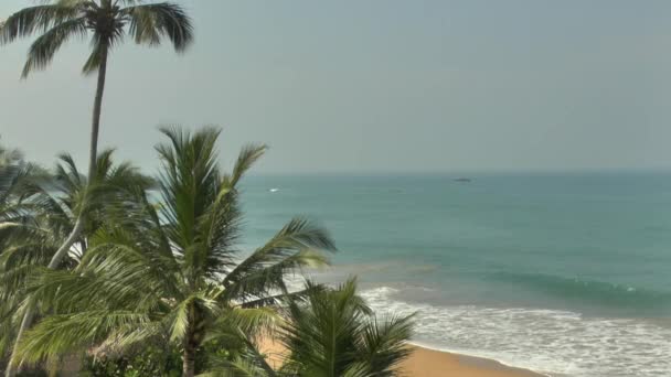 Tropical coastline with yellow sand — Stock Video