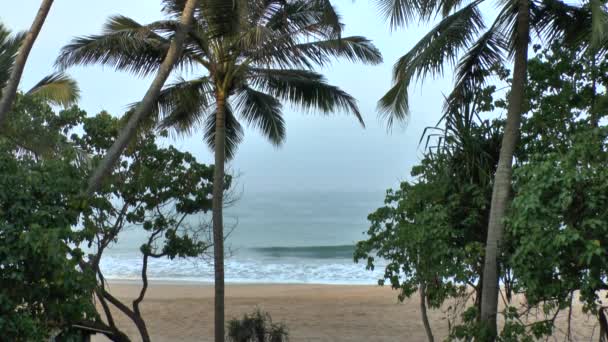 Litoral tropical com areia amarela — Vídeo de Stock