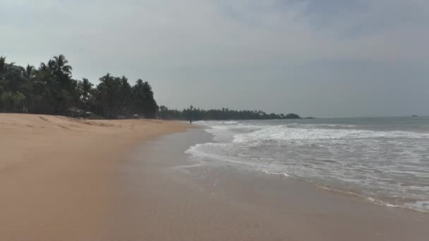 Litoral tropical com areia amarela — Vídeo de Stock