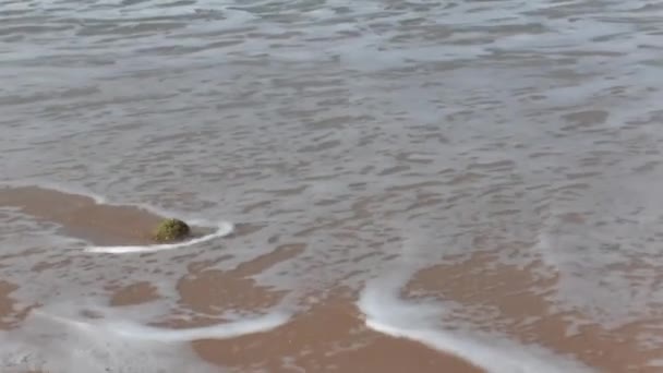 Havets vågor och den vackra stranden, — Stockvideo