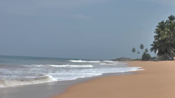 Tropical coastline with yellow sand — Stock Video