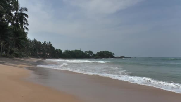 Litoral tropical com areia amarela — Vídeo de Stock