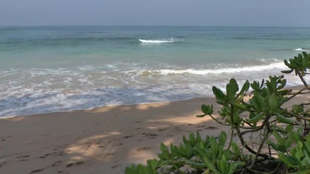 Costa tropicale con sabbia gialla — Video Stock
