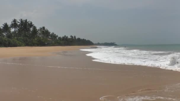 Litoral tropical com areia amarela — Vídeo de Stock