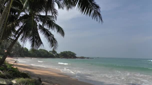 Litoral tropical com areia amarela — Vídeo de Stock