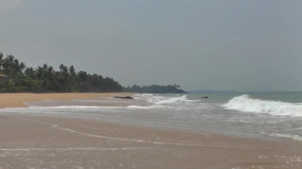 Côtes tropicales avec sable jaune 