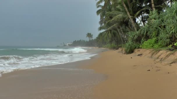 Tropical coastline with yellow sand — Stock Video