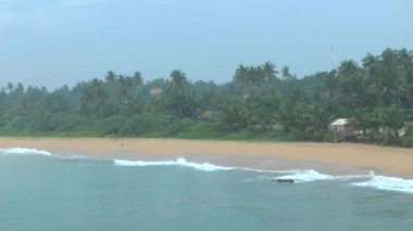 tropikal kıyı şeridi, sri lanka.