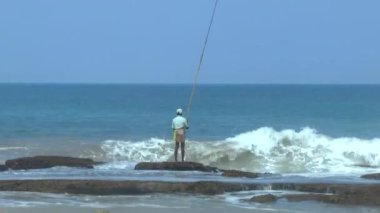 tropikal kıyı şeridi, sri lanka.