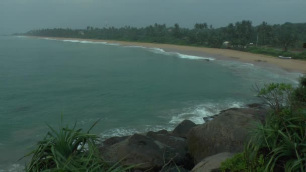 Tropikal kıyı şeridi, sri lanka. — Stok video