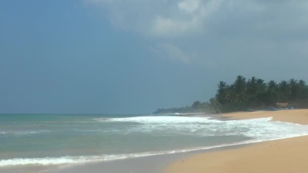 Tropical coastline with yellow sand — Stock Video