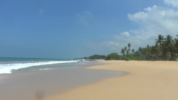 Tropical coastline with yellow sand — Stock Video