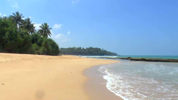 Tropikalne wybrzeże żółty piasku — Wideo stockowe