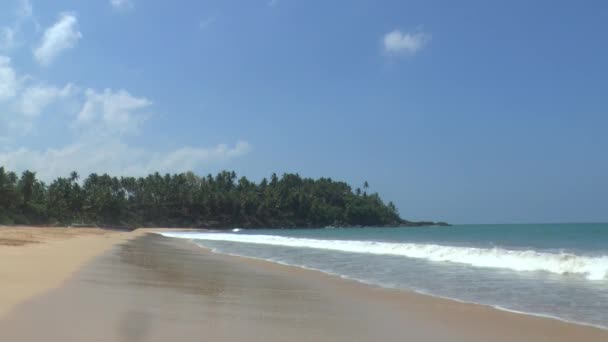 Tropical coastline with yellow sand — Stock Video